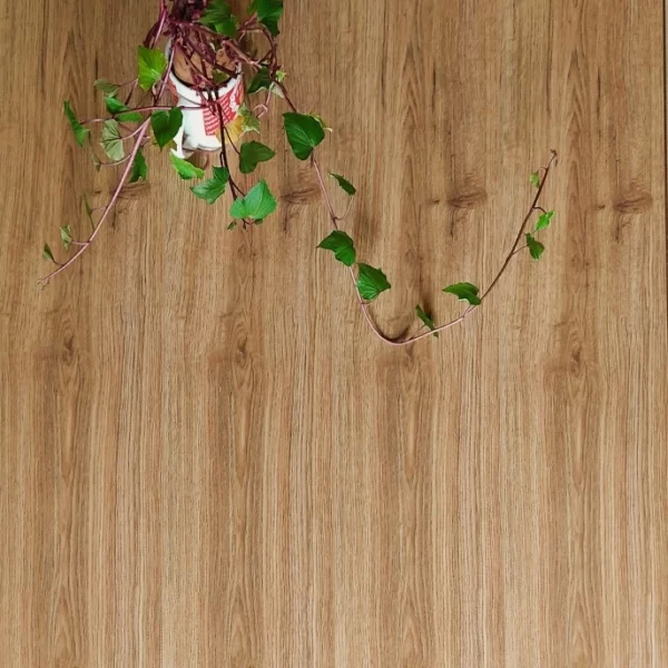 Sàn Gỗ Thai Flooring T4145